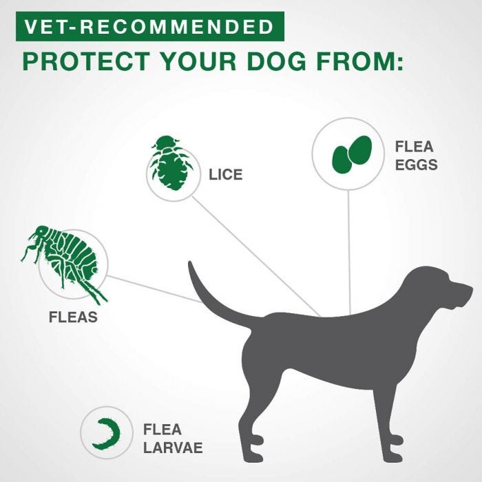 Bayer - Advantage II - Topical Flea Treatment for Dogs (For Dogs under 4.5kg)-ARMOR THE POOCH